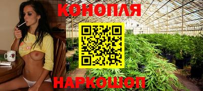 Альфа ПВП Рузаевка
