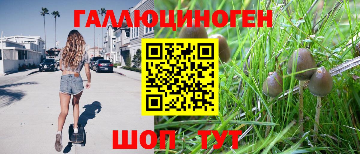 Саяногорск  Псилоцибиновые грибы мухоморы  Вход с VPN 